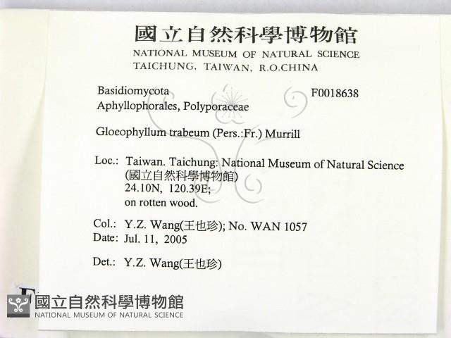 登錄號:F0018638藏品圖，第2張