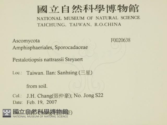 登錄號:F0020638藏品圖，第2張