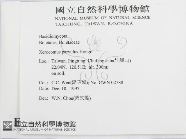 登錄號:F0010638藏品圖，第2張
