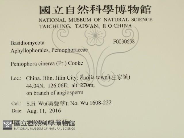 登錄號:F0030638藏品圖，第2張