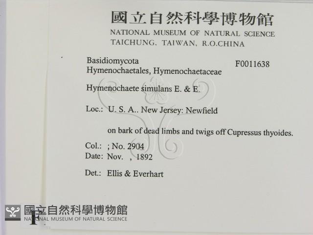 登錄號:F0011638藏品圖，第2張