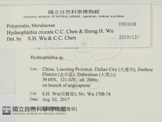 登錄號:F0031638藏品圖，第2張