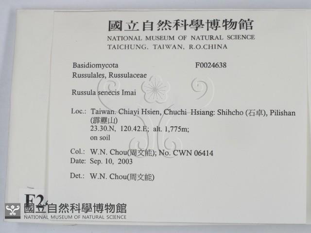 登錄號:F0024638藏品圖，第2張