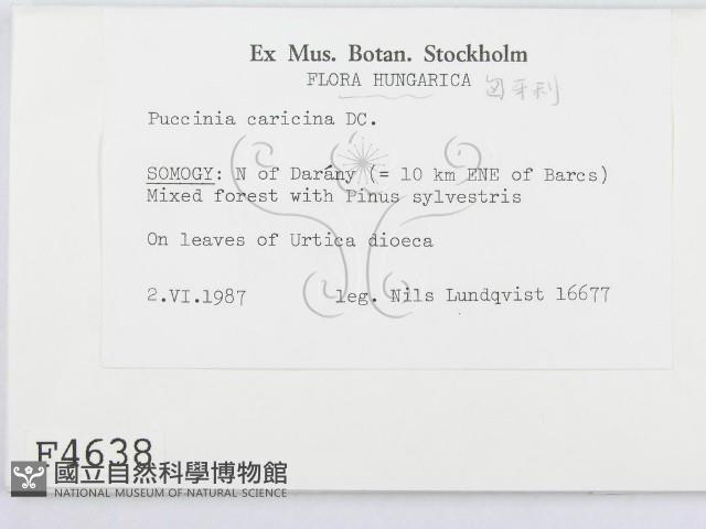 登錄號:F0004638藏品圖，第2張