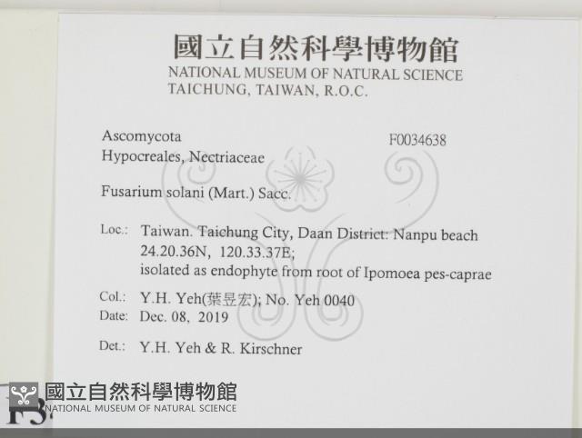 登錄號:F0034638藏品圖，第2張