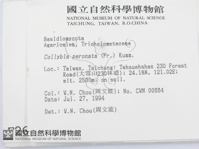 登錄號:F0002638藏品圖，第2張