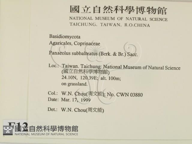 登錄號:F0012638藏品圖，第2張
