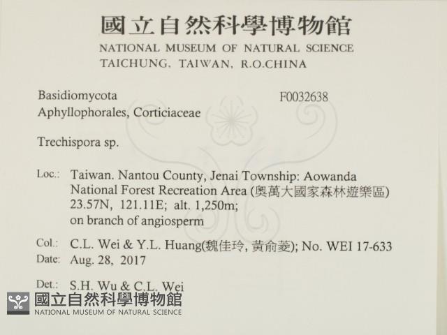 粗糙孢菌屬藏品圖，第2張