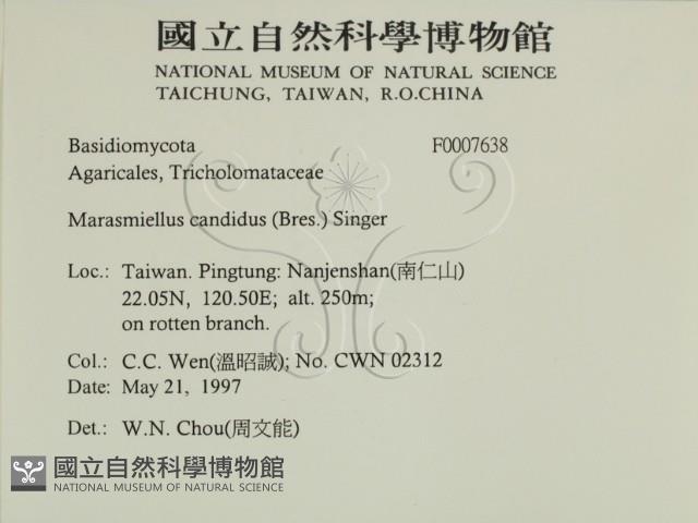 登錄號:F0007638藏品圖，第2張