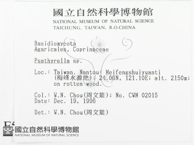 登錄號:F0005638藏品圖，第2張