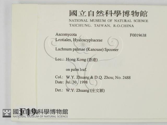 登錄號:F0019638藏品圖，第2張