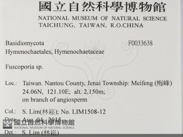 登錄號:F0033638藏品圖，第2張
