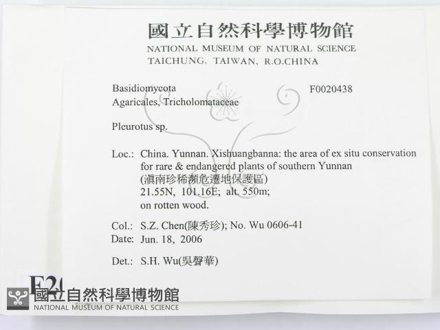 登錄號:F0020438藏品圖，第2張
