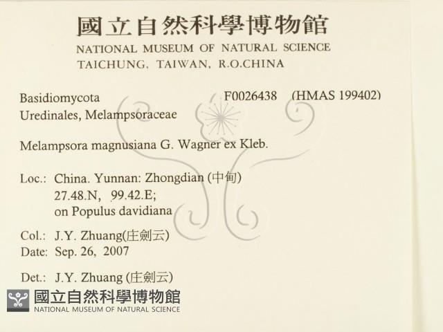 登錄號:F0026438藏品圖，第2張