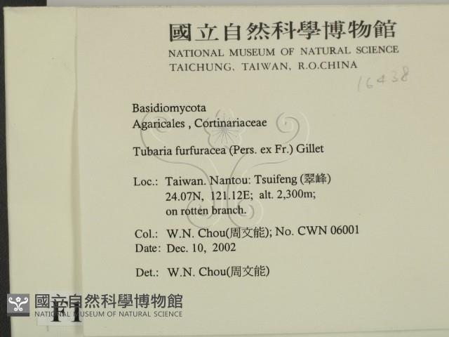 登錄號:F0016438藏品圖，第2張