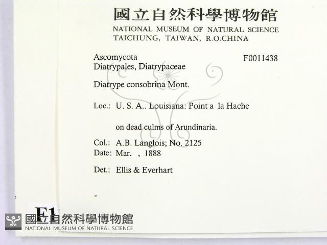 登錄號:F0011438藏品圖，第2張