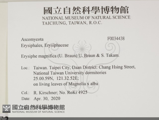 登錄號:F0034438藏品圖，第2張