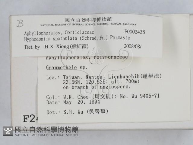 登錄號:F0002438藏品圖，第2張