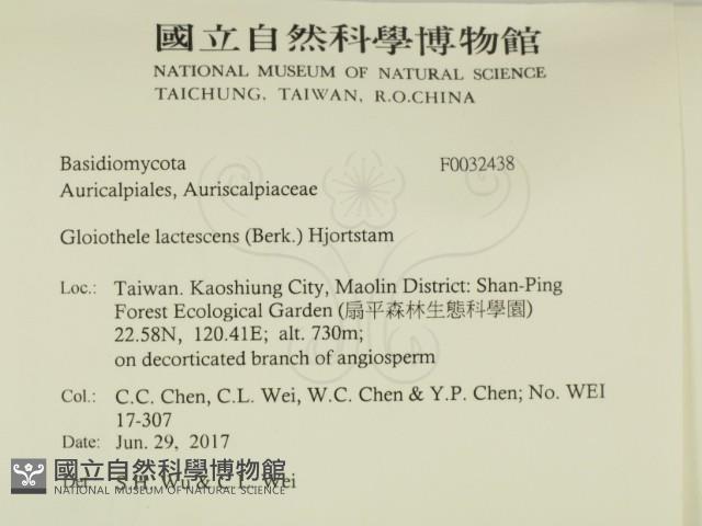 登錄號:F0032438藏品圖，第2張