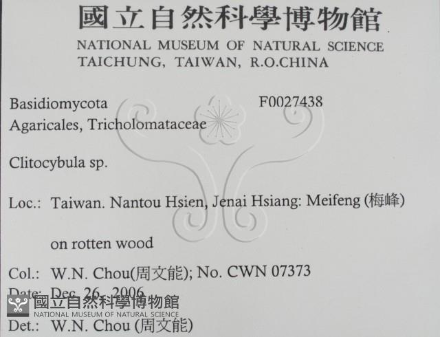 登錄號:F0027438藏品圖，第2張