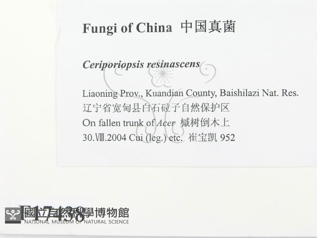 登錄號:F0017438藏品圖，第2張