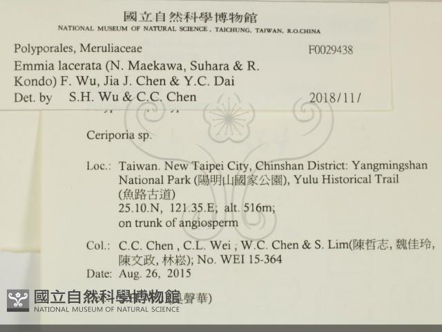 登錄號:F0029438藏品圖，第2張
