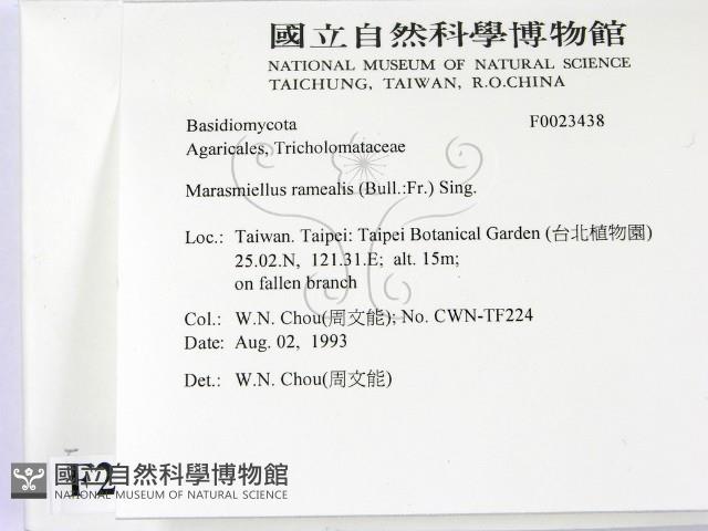 登錄號:F0023438藏品圖，第2張