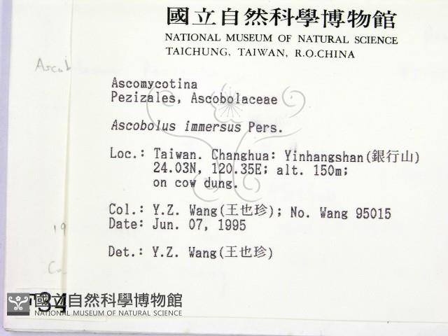 登錄號:F0003438藏品圖，第2張