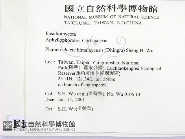 登錄號:F0013438藏品圖，第2張