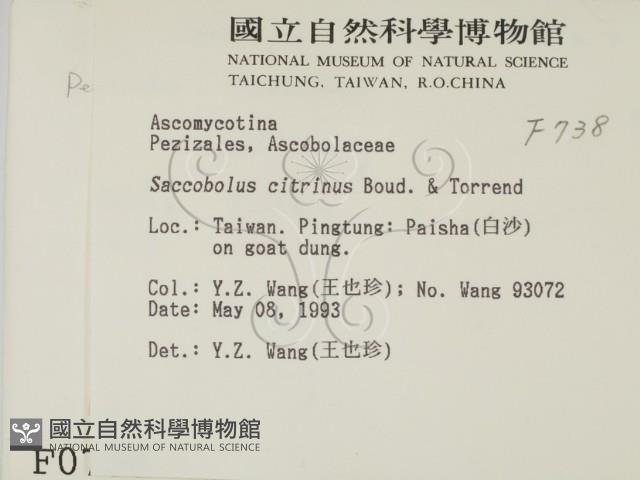 登錄號:F0000738藏品圖，第2張