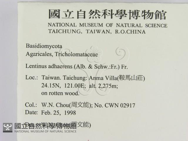 登錄號:F0010738藏品圖，第2張