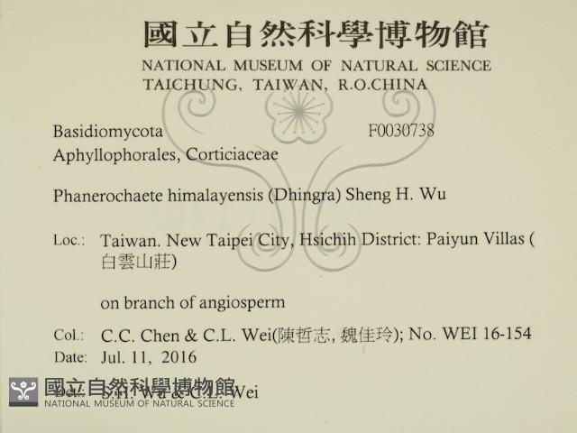 登錄號:F0030738藏品圖，第2張