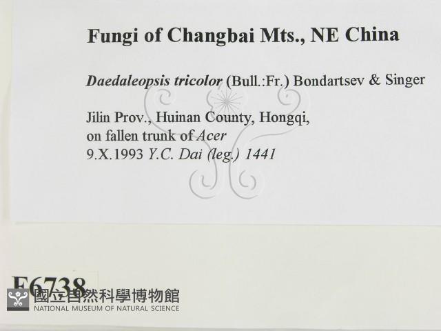 登錄號:F0006738藏品圖，第2張