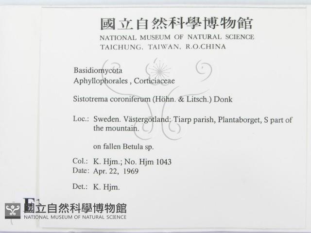 登錄號:F0016738藏品圖，第2張