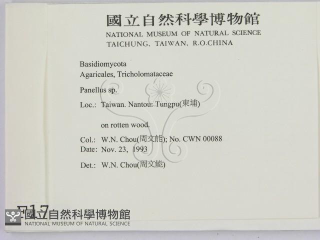 登錄號:F0001738藏品圖，第2張