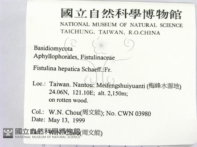 登錄號:F0012738藏品圖，第2張