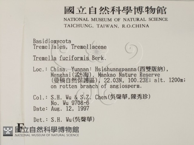 登錄號:F0007738藏品圖，第2張