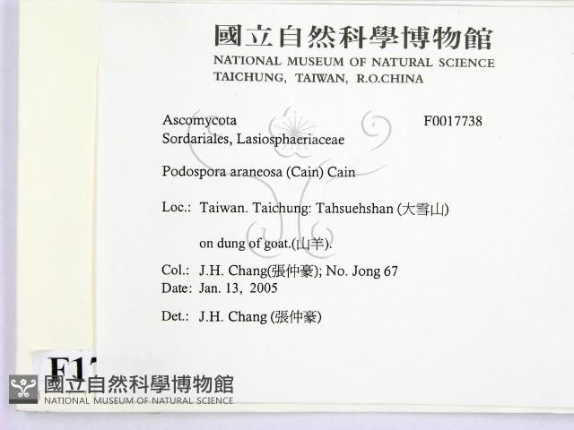 登錄號:F0017738藏品圖，第2張