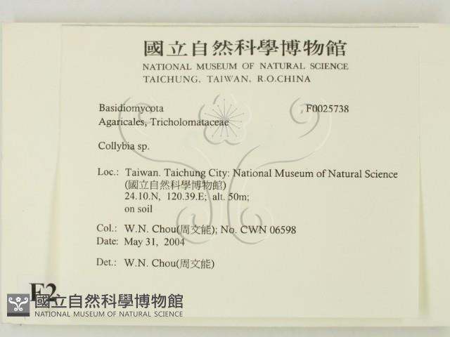 登錄號:F0025738藏品圖，第2張