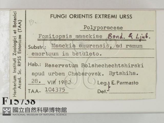 登錄號:F0015738藏品圖，第2張