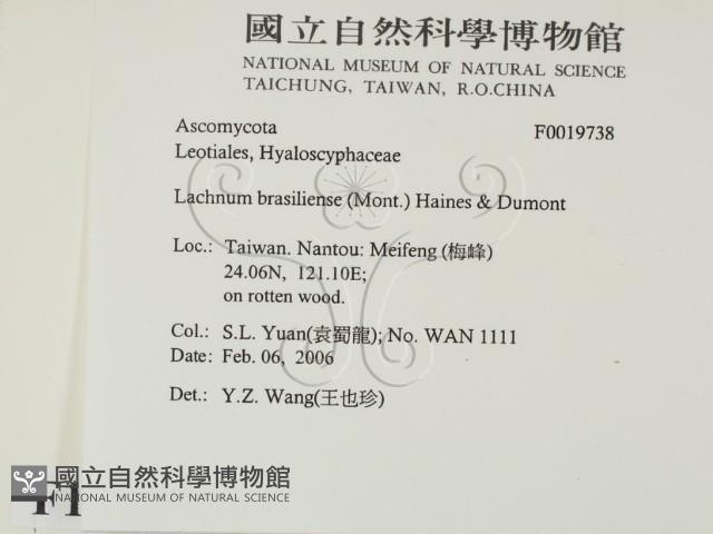 登錄號:F0019738藏品圖，第2張