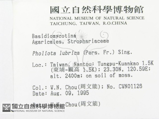 登錄號:F0003738藏品圖，第2張