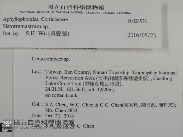 登錄號:F0028538藏品圖，第2張