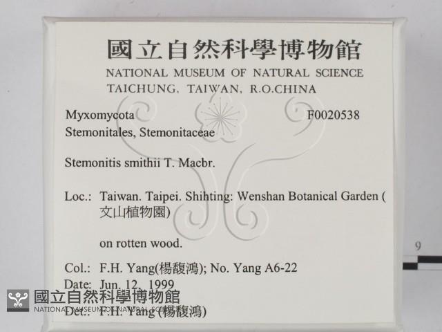 登錄號:F0020538藏品圖，第2張