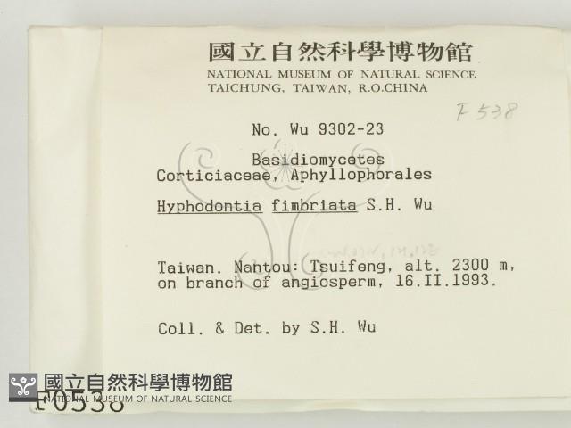 登錄號:F0000538藏品圖，第2張