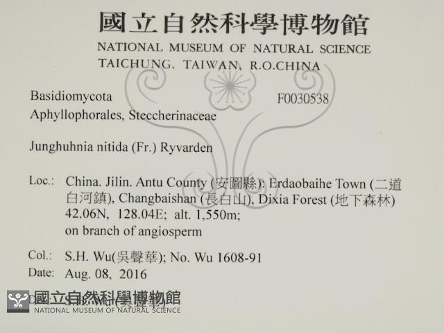 登錄號:F0030538藏品圖，第2張