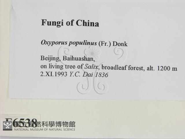 登錄號:F0006538藏品圖，第2張