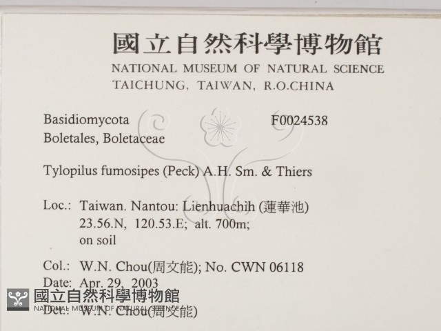 登錄號:F0024538藏品圖，第2張