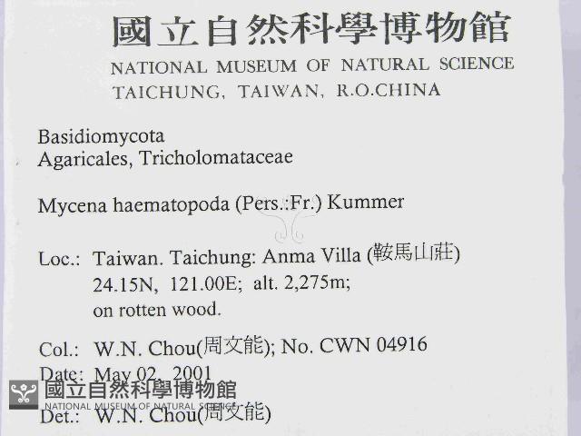 登錄號:F0014538藏品圖，第2張