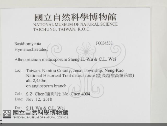 登錄號:F0034538藏品圖，第2張